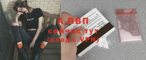 мдпв Михайлов