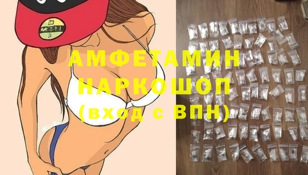 мдпв Михайлов