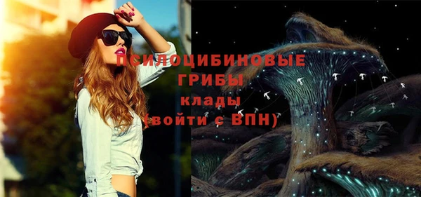 PSILOCYBIN Михайловск
