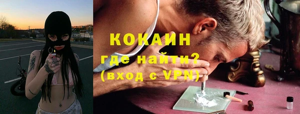 мдпв Михайлов
