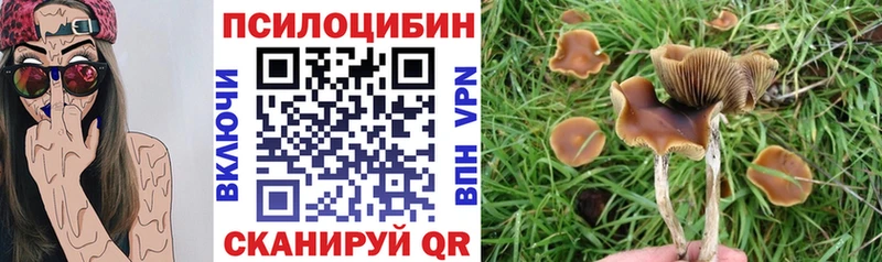 Псилоцибиновые грибы GOLDEN TEACHER Новопавловск