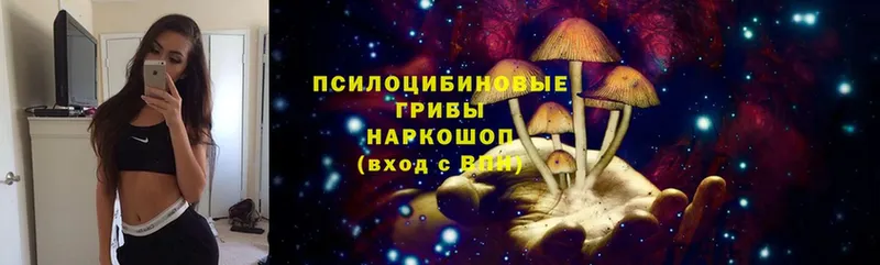 Галлюциногенные грибы Magic Shrooms  продажа наркотиков  Новопавловск 